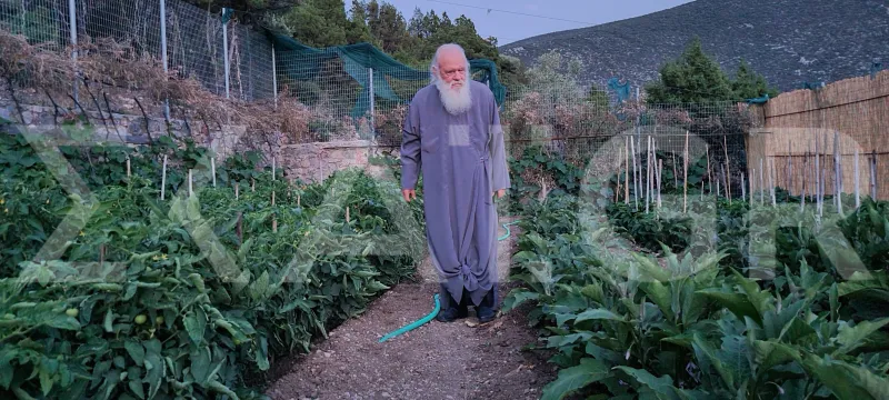 Αρχιεπίσκοπος Ιερώνυμος