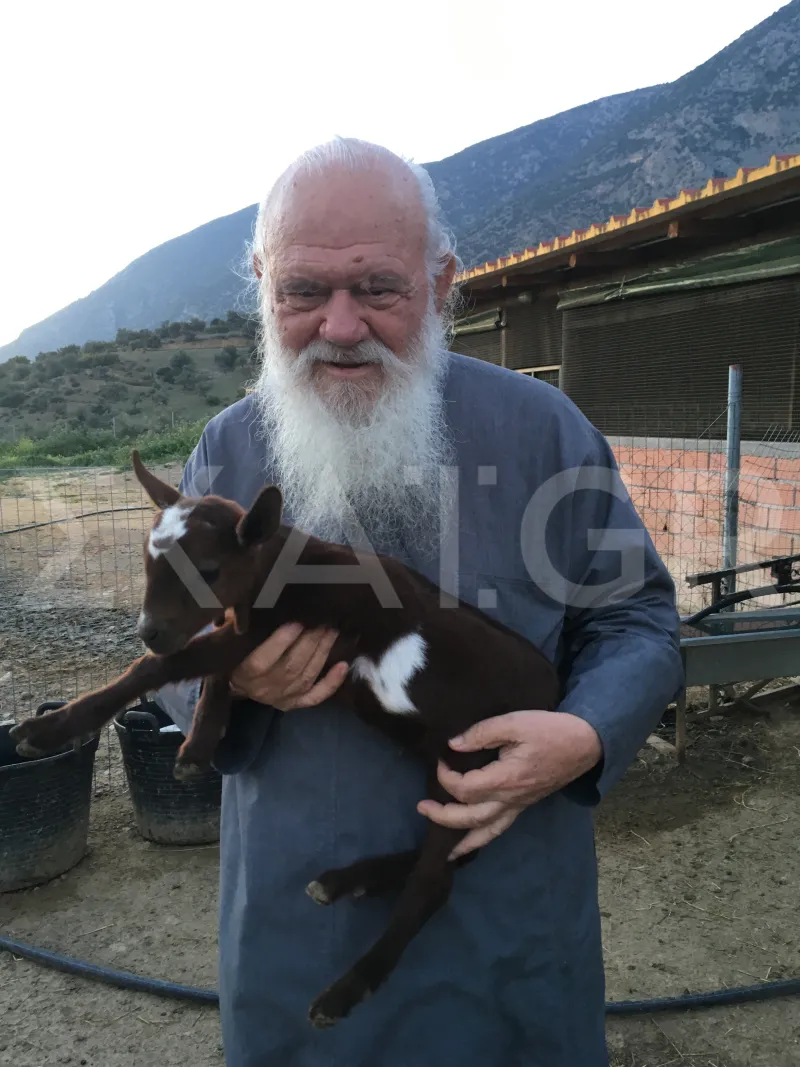 Αρχιεπίσκοπος Ιερώνυμος