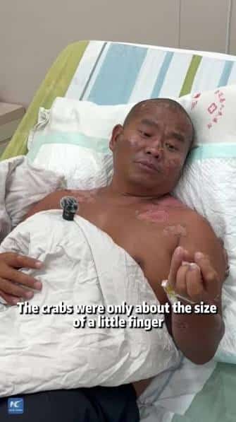images 7