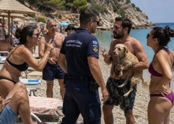 Κατοικίδια στις παραλίες: Τι επιτρέπεται και τι απαγορεύεται στην Ελλάδα – Πλήρης οδηγός για τους ιδιοκτήτες ζώων