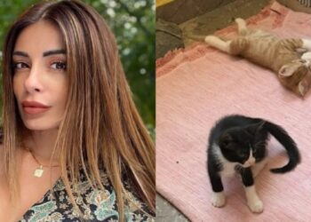 Η Αρναούτη για το 6ψήφιο πρόστιμο στον 55χρονο που εγκατέλειψε γατάκια: «Πρόστιμο 270.000€ για εγκατάλειψη ζώων και σε εμένα με 17 χειρουργεία 39.000€»