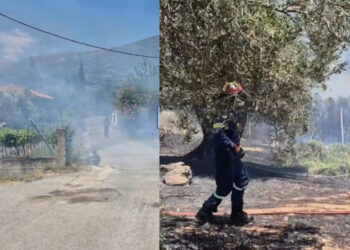 Συναγερμός στη Ναύπακτο: Φωτιά τώρα δίπλα σε σπίτια!
