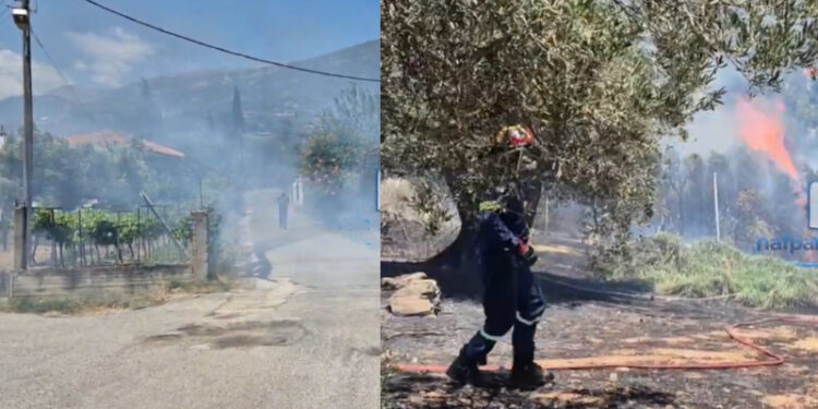 Συναγερμός στη Ναύπακτο: Φωτιά τώρα δίπλα σε σπίτια!