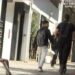 Alldaynews.gr Σε σοβαρή κατάσταση δύο ανήλικοι μετά από διαφορετικά τροχαία με ηλεκτρικά πατίνια – 16χρονος έπεσε από γέφυρα – 14χρονος νοσηλεύεται με κρανιοεγκεφαλικές