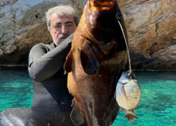 «Εμείς δεν ψαρεύουμε σε θολά νερά»: Αιχμηρή ανάρτηση Πολάκη κρατώντας στα χέρα του ροφό 13,5 κιλών