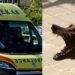 Στο νοσοκομείο 7χρονη μετά από επίθεση σκύλου: Την δάγκωσε στο αυτί, τον αυχένα, την ωμοπλάτη και το στέρνο