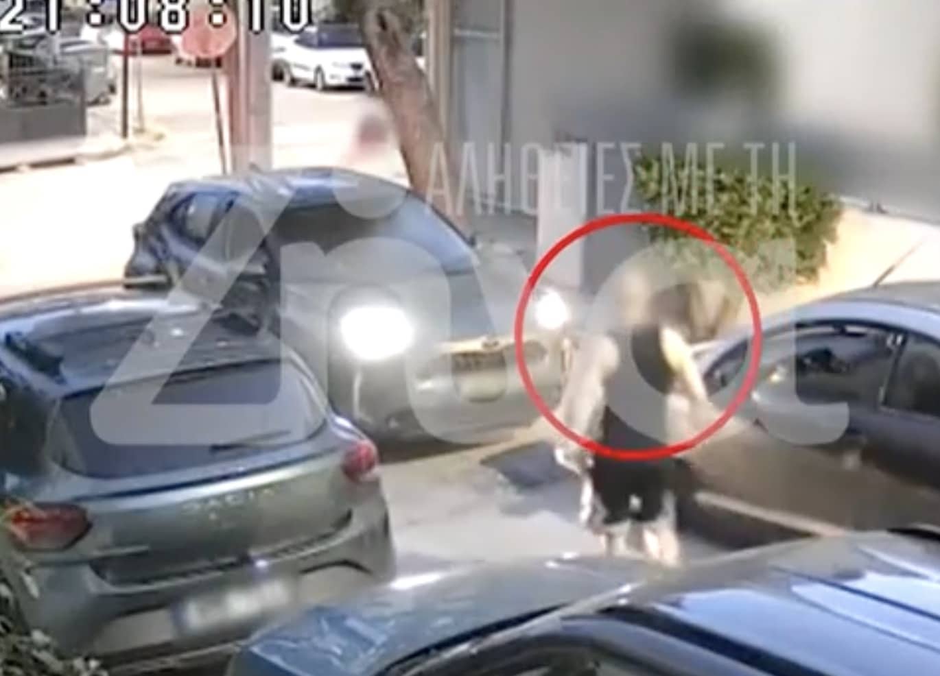 Άνδρας γρονθοκόπησε γυναίκα οδηγό για μία προτεραιότητα στο Ίλιον - Στο πίσω κάθισμα βρισκόταν το παιδί της 1 stigmiotypo othonis 2026 06 10 19.15.09