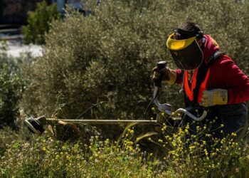 Καθαρισμός οικοπέδων: «Φρένο» υπουργείου στην παράταση – Στα ύψη τα πρόστιμα για τους ξεχασιάρηδες