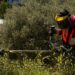 Καθαρισμός οικοπέδων: «Φρένο» υπουργείου στην παράταση – Στα ύψη τα πρόστιμα για τους ξεχασιάρηδες