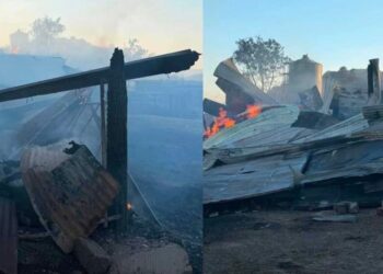 Στις φλόγες κτηνοτροφική μονάδα – Κάηκαν δεκάδες ζώα