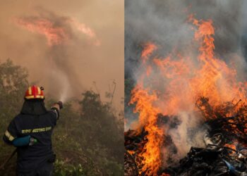 Συνελήφθη 45χρονη Ουκρανή για εμπρησμό από πρόθεση – Τι ανακάλυψαν οι αστυνομικοί (video)