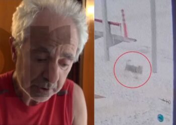 Άγρια επίθεση σκύλου σε 66χρονο στα Βόρεια Προάστια – Τον τραυμάτισε σοβαρά, νεκρό το κατοικίδιο του – «Η ζωή μου όλη ο Μαξ» λέει ο ίδιος