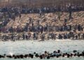 Alldaynews.gr Απόλυτο χάος στην Θέουτα: Μετανάστες εισβάλλουν σε σπίτια κατοίκων – Σοκαριστικές εικόνες