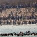 Alldaynews.gr Απόλυτο χάος στην Θέουτα: Μετανάστες εισβάλλουν σε σπίτια κατοίκων – Σοκαριστικές εικόνες