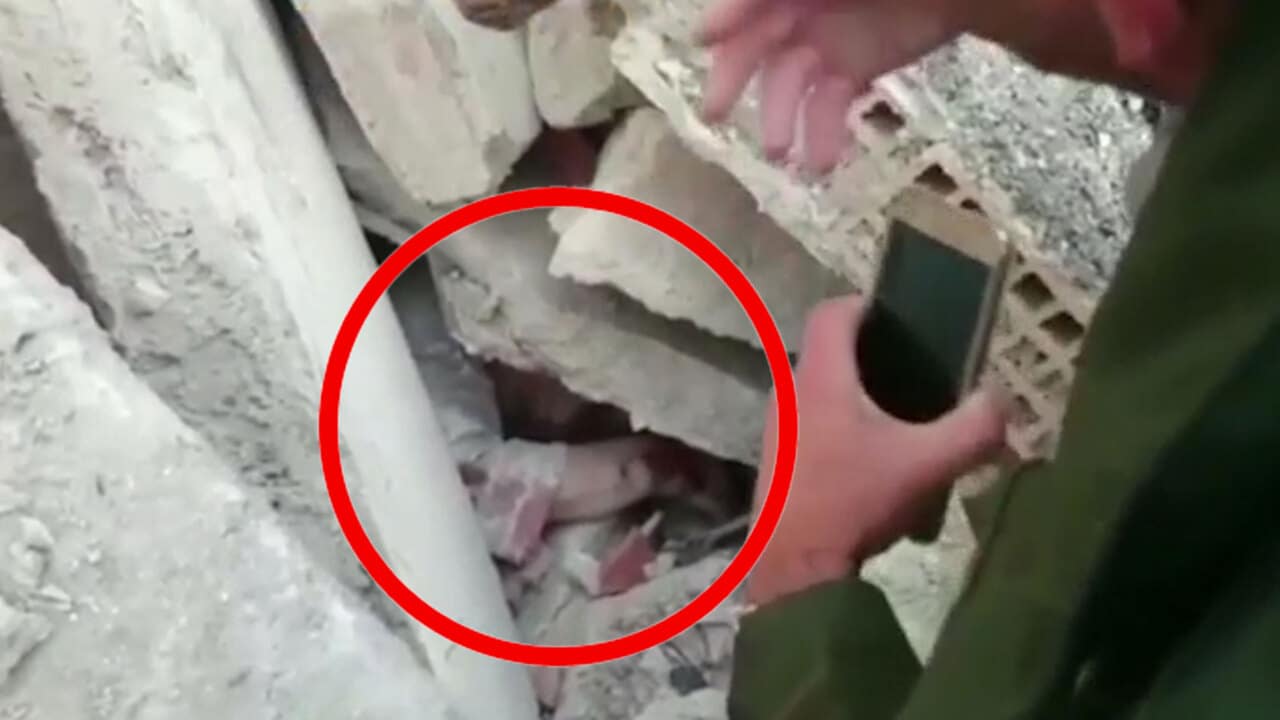 Πυροσβέστες βρήκαν το σώμα μιας 9χpονης αλλά δυστυχώς - Μόλις είδαν τι βρισκόταν από κάτω της πάγωσαν 1 image 2