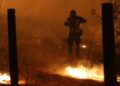 Alldaynews.gr ΕΚΤΑΚΤΟ – Τραγωδία: Απανθρακώθηκε οδηγός μετά από σφοδρή πρόσκρουση ΙΧ σε κολόνα της ΔΕΗ, ξέσπασε και πυρκαγιά