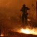 Alldaynews.gr ΕΚΤΑΚΤΟ – Τραγωδία: Απανθρακώθηκε οδηγός μετά από σφοδρή πρόσκρουση ΙΧ σε κολόνα της ΔΕΗ, ξέσπασε και πυρκαγιά