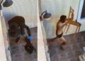 «Παγώνει το αίμα» το νέο βίντεο από τη Σύρο: Καρέ καρέ η φρίκη πριν το φονικό – Τα ουρλιαχτά και το χτύπημα