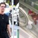 Alldaynews.gr Νίκος Οικονομόπουλος: Μεγαλείο ψυχής – Το ποσό που έδωσε για τον μικρό Γιωργάκη που παλεύει με τον καρκίνο!