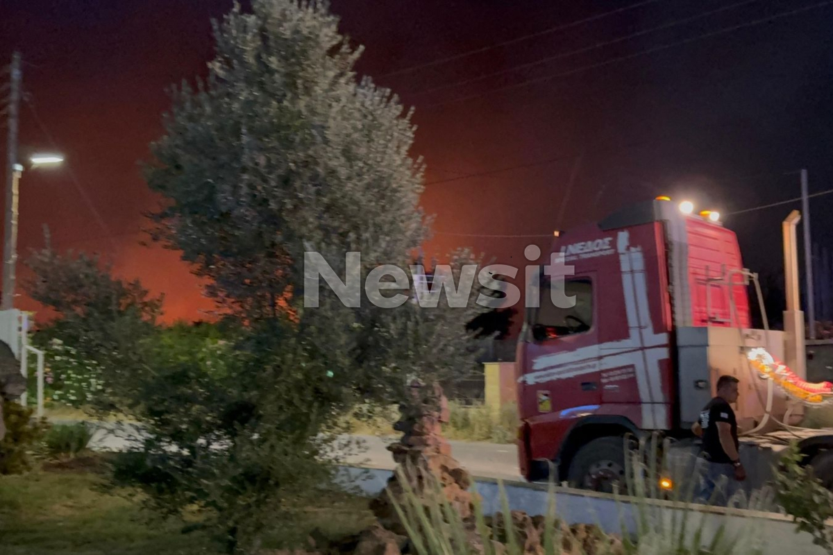 φωτιά στο ωραιόκαστρο