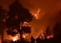 Εκτός ελέγχου η φωτιά στο Πόρτο Γερμενό: Στα 200μ. από τα πρώτα σπίτια στο Προσήλι – Μάχη σώμα με σώμα για να σωθούν σπίτια (video)