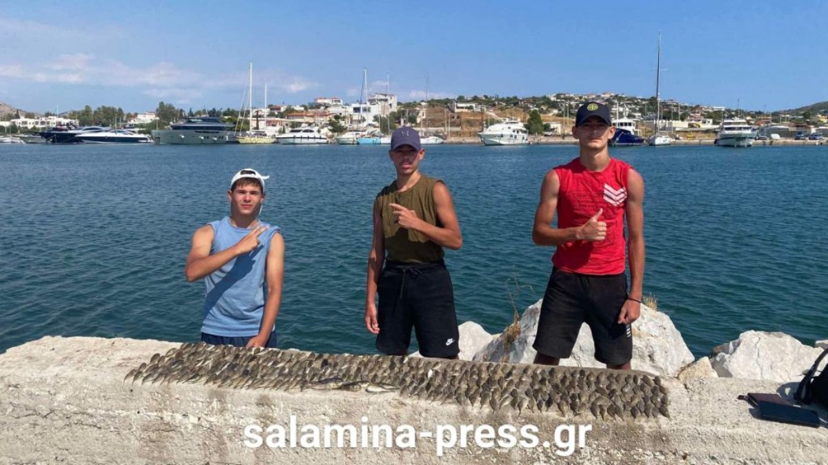 Alldaynews.gr