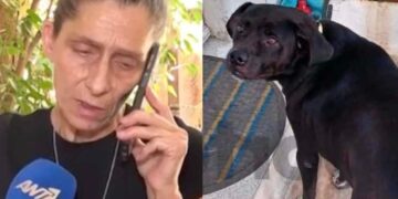 Συγκλονίζει η γυναίκα που o σκύλος της πέθανε στα Πετράλωνα – «Έχασα το μοναδικό μου στήριγμα»