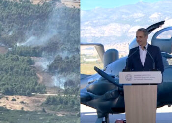 «Βόμβες» Πολάκη: Τα παρκαρισμένα αεροσκάφη Diamond και τα εκατομμύρια που «φαγώθηκαν» για Αντιπυρικές ζώνες – Τι συνέβη στο Πόρτο Γερμενό