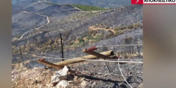 Παρέμβαση εισαγγελέα για τα αιολικά πάρκα μετά την καταστροφική φωτιά στην Αττικοβοιωτία – Τι θα γίνει (video)