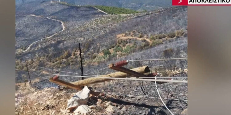 Παρέμβαση εισαγγελέα για τα αιολικά πάρκα μετά την καταστροφική φωτιά στην Αττικοβοιωτία – Τι θα γίνει (video)