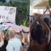 Απίστευτη εικόνα στην Κρήτη: Πήραν κατάκοιτη ηλικιωμένη σε ξαπλώστρα για να μη χάσει το πανηγύρι του χωριού