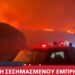 Συνελήφθη 44χρονος για εμπρησμό από πρόθεση – Είχε καταδικαστεί και στο παρελθόν (video)