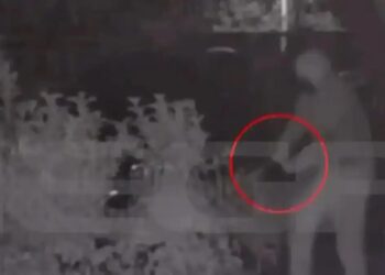 Συνελήφθη η πρώην σύζυγος του θύματος της απόπειρας δολοφονίας το 2025 – Έβαλε τον σύντροφό της να τον πυροβολήσει (video)