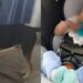 Οικογενειακή τραγωδία: Σκύλος δάγκωσε μέχρι θανάτου επτά ημερών βρέφος – Συνελήφθη ολόκληρη η οικογένεια, μέχρι και οι παππούδες – Στο 1ο σχόλιο