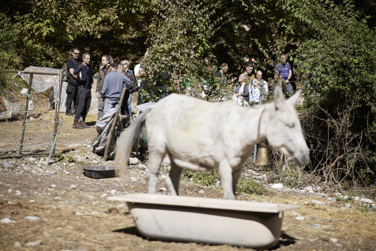 Alldaynews.gr mitsotakis olimpos